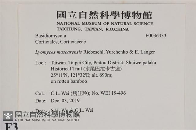 登錄號:F0036433藏品圖，第2張