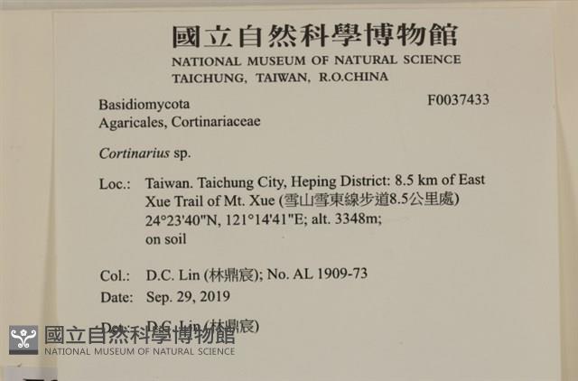 登錄號:F0037433藏品圖，第2張