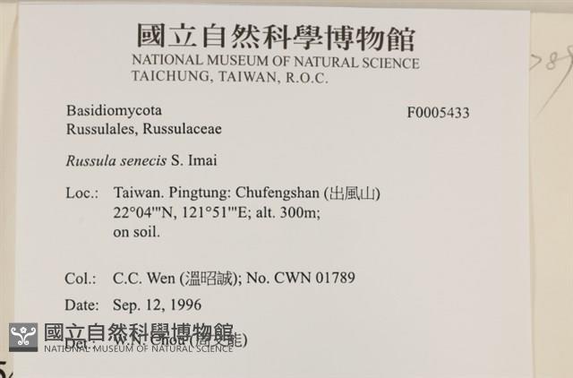 登錄號:F0005433藏品圖，第4張