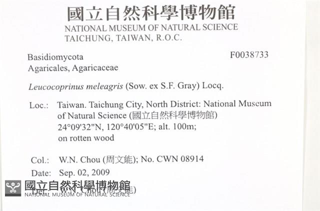 登錄號:F0038733藏品圖，第2張