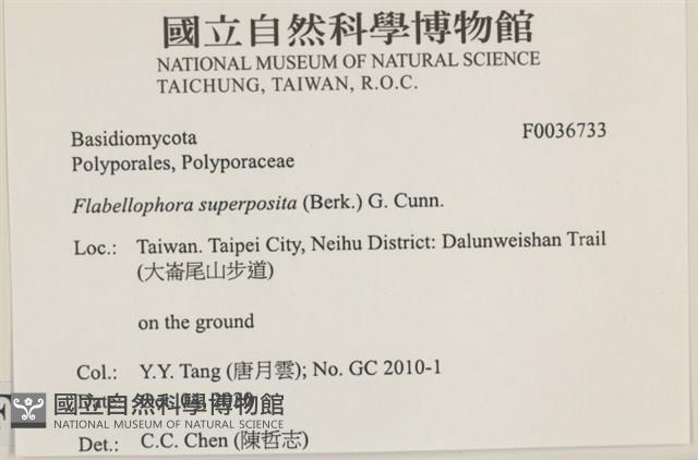 登錄號:F0036733藏品圖，第2張