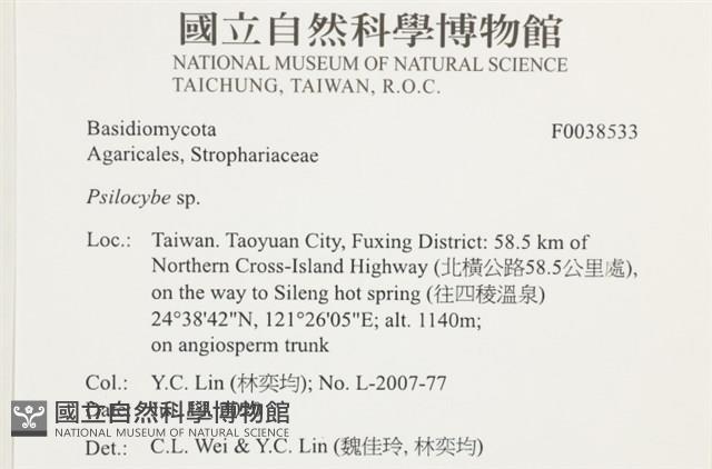 登錄號:F0038533藏品圖，第2張