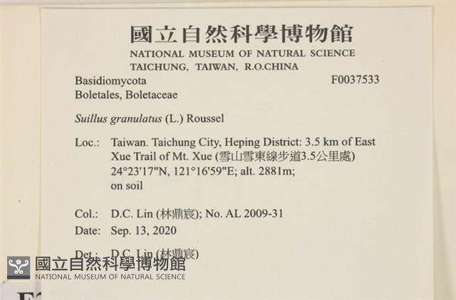 登錄號:F0037533藏品圖，第2張