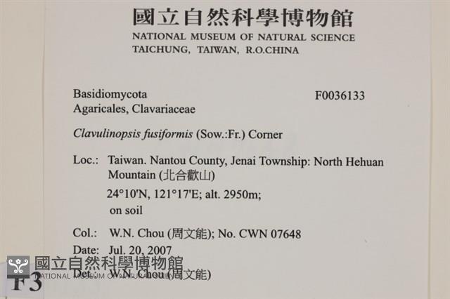 登錄號:F0036133藏品圖，第2張
