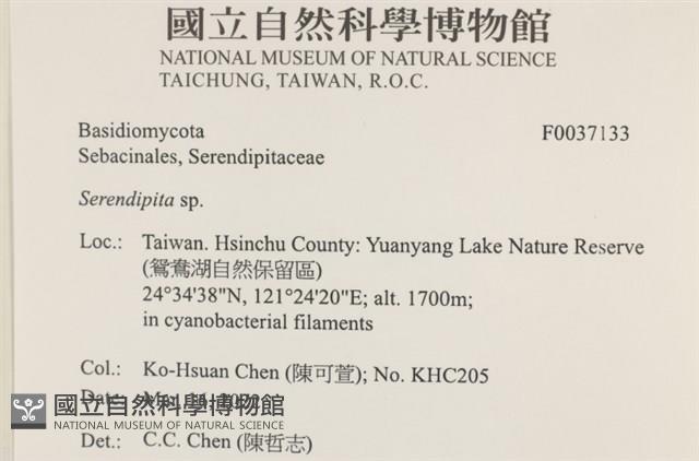 登錄號:F0037133藏品圖，第3張