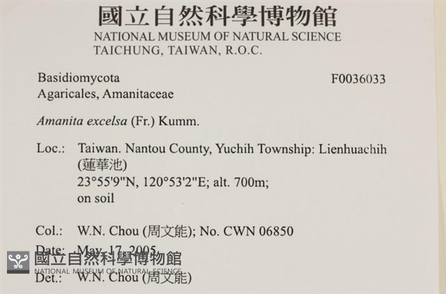 登錄號:F0036033藏品圖，第2張