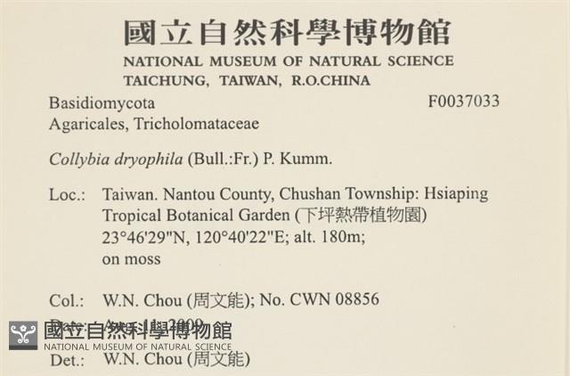 登錄號:F0037033藏品圖，第2張
