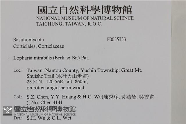 登錄號:F0035333藏品圖，第2張