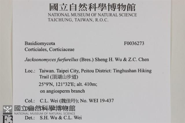 登錄號:F0036273藏品圖，第2張