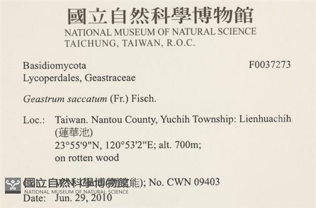 登錄號:F0037273藏品圖，第2張