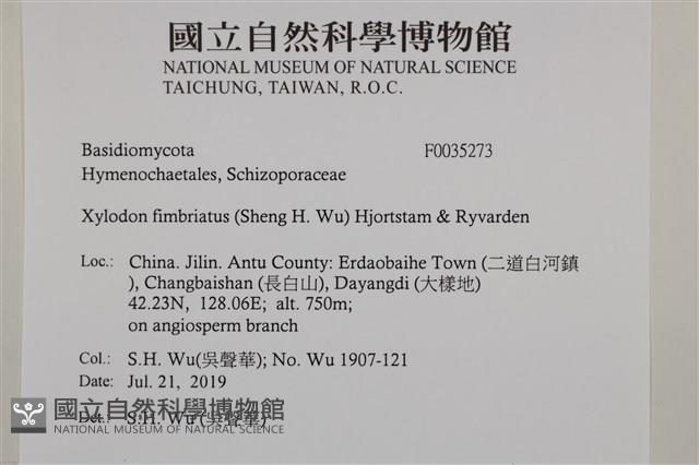 登錄號:F0035273藏品圖，第2張