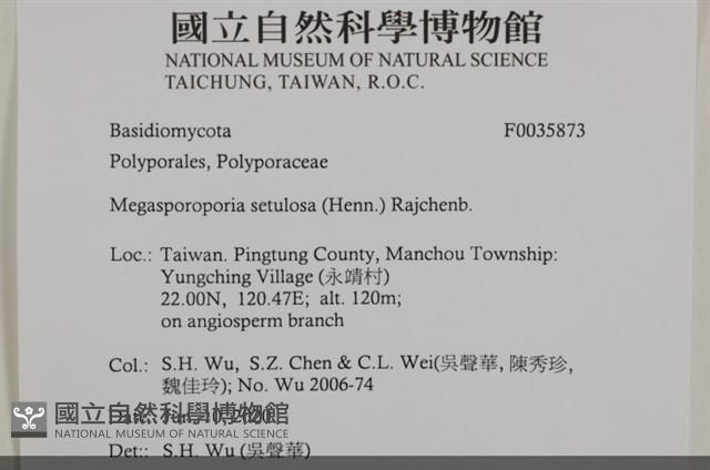 登錄號:F0035873藏品圖，第2張