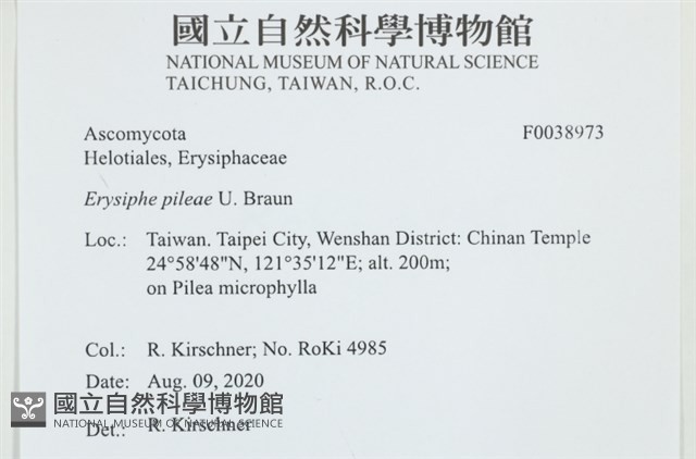 登錄號:F0038973藏品圖，第2張