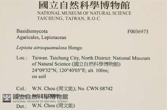 登錄號:F0036973藏品圖，第2張