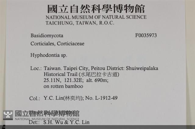 登錄號:F0035973藏品圖，第3張