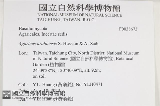 登錄號:F0038673藏品圖，第2張