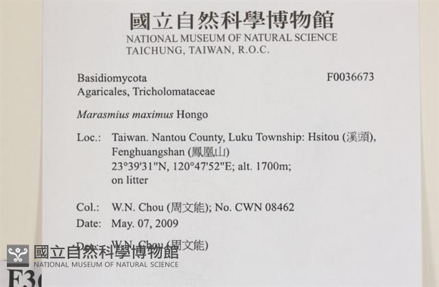 登錄號:F0036673藏品圖，第2張