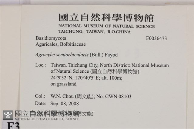 登錄號:F0036473藏品圖，第2張