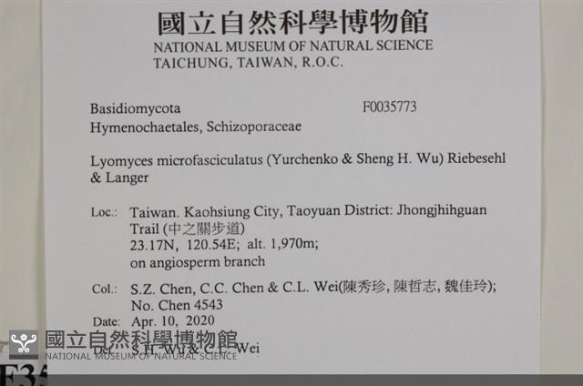 登錄號:F0035773藏品圖，第2張