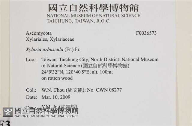 登錄號:F0036573藏品圖，第2張
