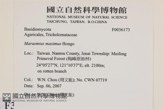 Accession Number:F0036173 Collection Image, Figure 2, Total 3 Figures