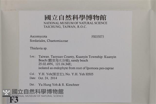 登錄號:F0035073藏品圖，第2張