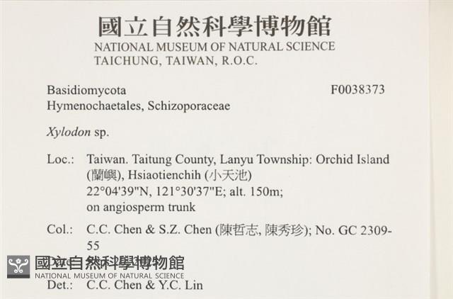 登錄號:F0038373藏品圖，第2張