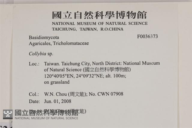 登錄號:F0036373藏品圖，第2張
