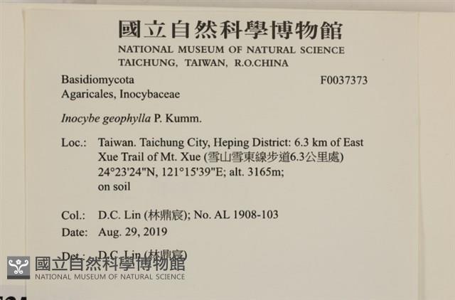 登錄號:F0037373藏品圖，第2張