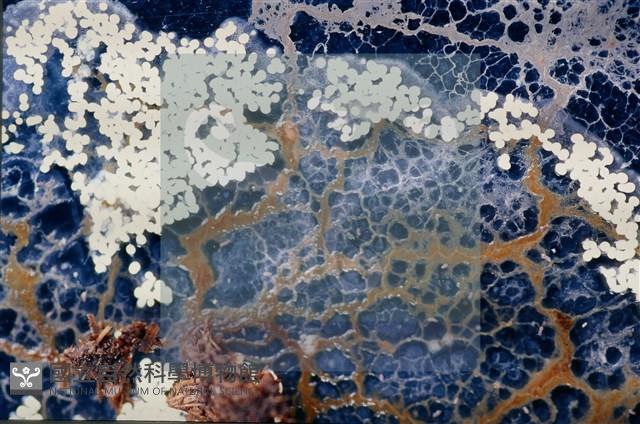 登錄號:F0010370藏品圖，第3張