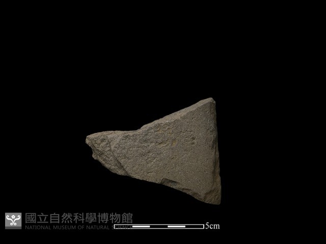 磨製斧鋤形器藏品圖，第1張