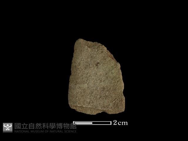 矛鏃形器藏品圖，第1張