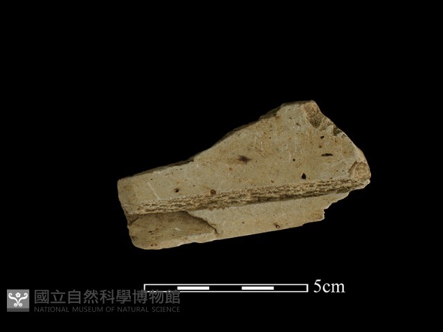 帶加工痕石材藏品圖，第1張