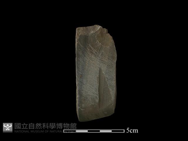 錛鑿形器藏品圖，第2張