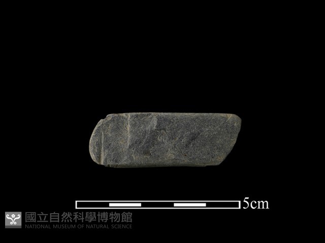 網墜藏品圖，第1張