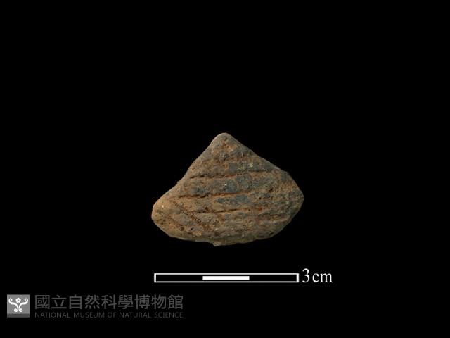 陶片藏品圖，第1張