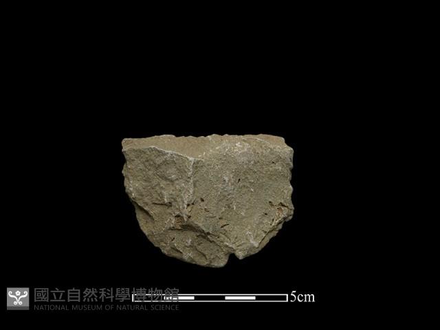 斧鋤形器藏品圖，第1張