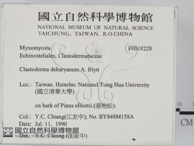 登錄號:F0018228藏品圖，第2張