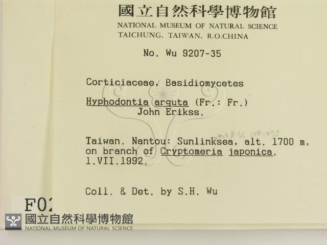 登錄號:F0000228藏品圖，第2張