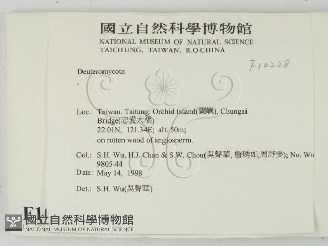登錄號:F0010228藏品圖，第2張