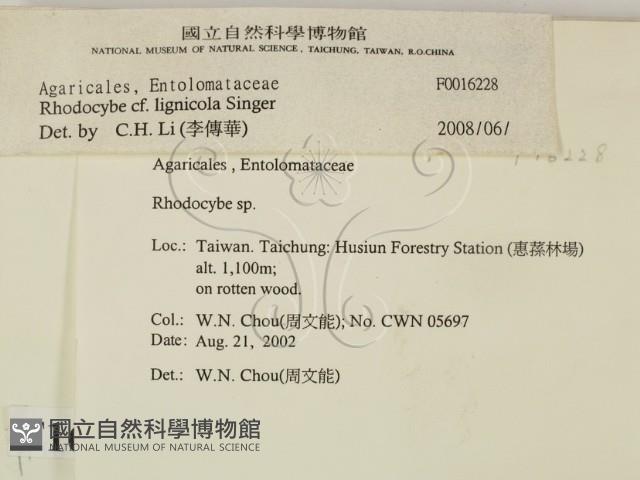 登錄號:F0016228藏品圖，第2張
