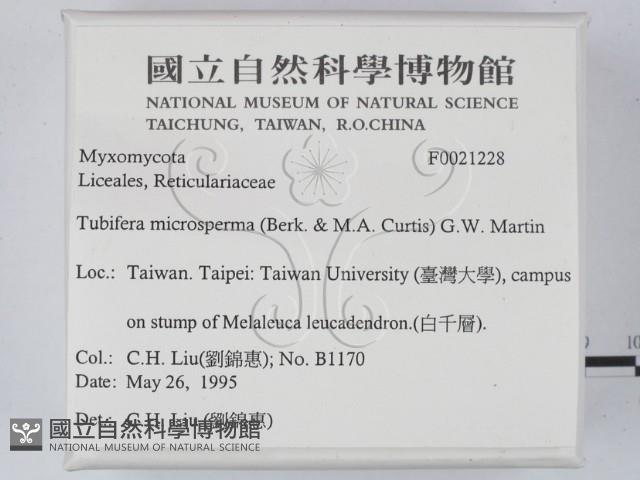 登錄號:F0021228藏品圖，第2張
