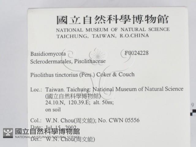 登錄號:F0024228藏品圖，第2張