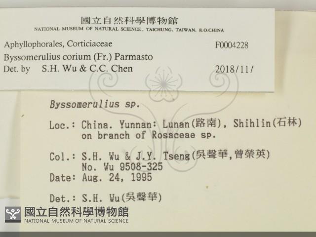 登錄號:F0004228藏品圖，第2張