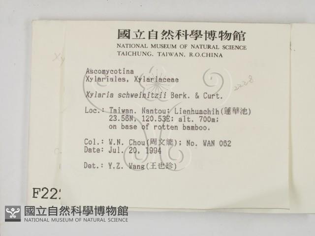 登錄號:F0002228藏品圖，第2張