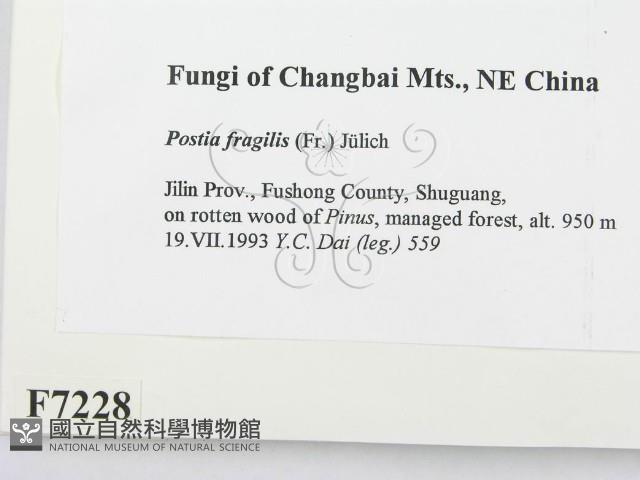 登錄號:F0007228藏品圖，第2張