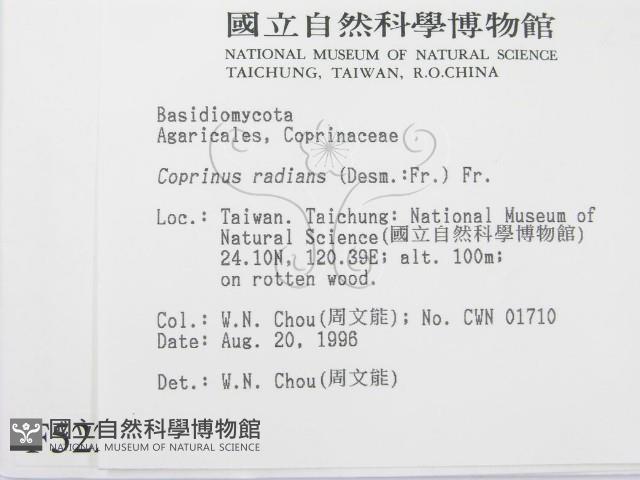 登錄號:F0005228藏品圖，第2張