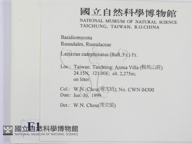 登錄號:F0013228藏品圖，第2張