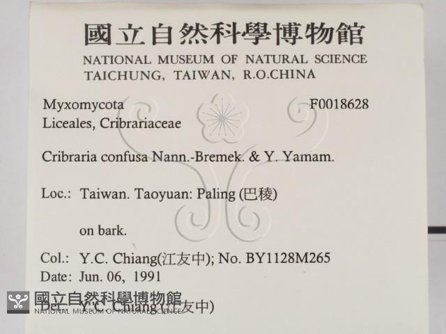 登錄號:F0018628藏品圖，第2張