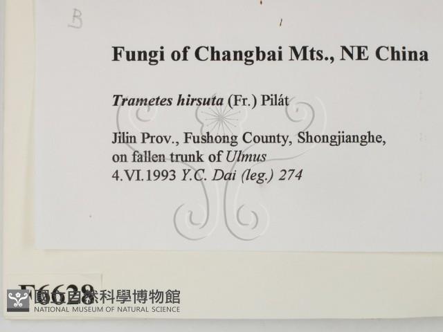 登錄號:F0006628藏品圖，第2張